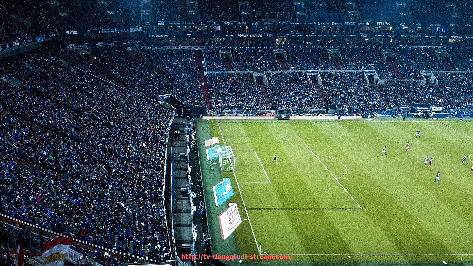 懂球帝直播-郑州健身器材售后服务体系建设与用户体验提升